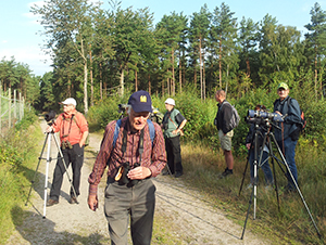 Foto: Ulrika Tollgren