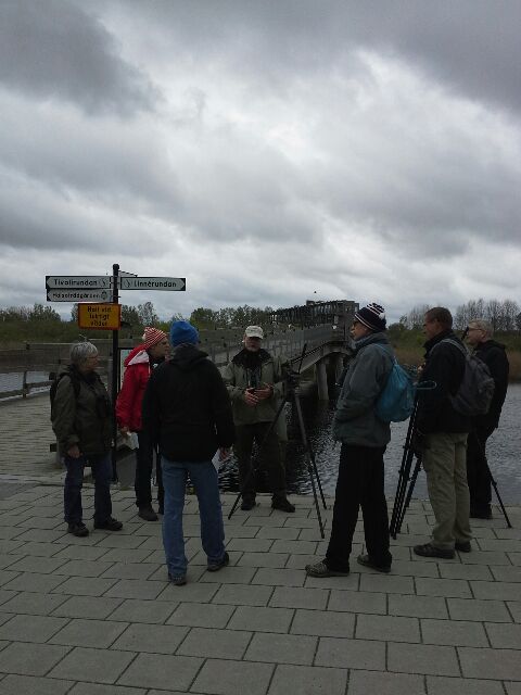 Foto: Linda Niklasson