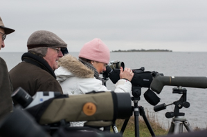 Foto: Patrick Tollgren Lazarov